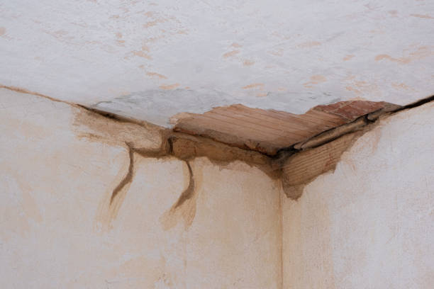 Best Fire Damage Restoration  in Marlboro Village, MD