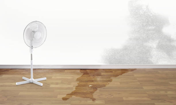 Best Water damage restoration experts  in Marlboro Village, MD