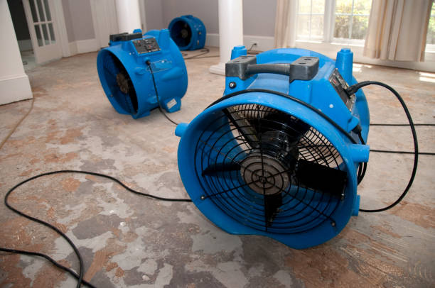 Best Flooded house restoration  in Marlboro Village, MD