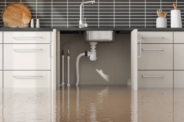  Marlboro Village, MD Water damage restoration Pros