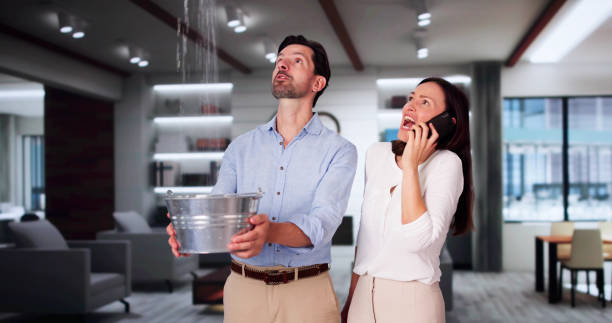 Best Flood restoration services  in Marlboro Village, MD